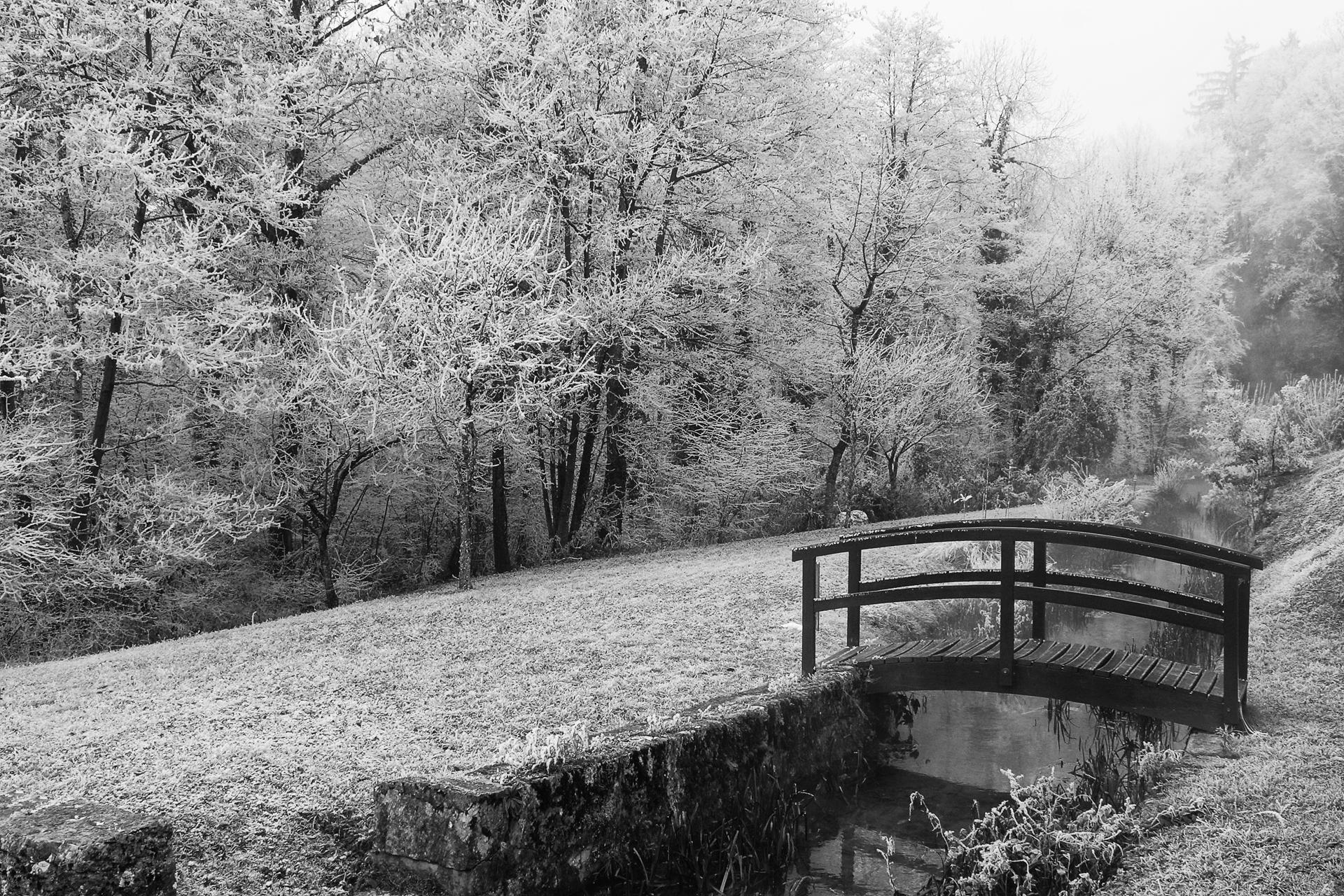 givre sergy