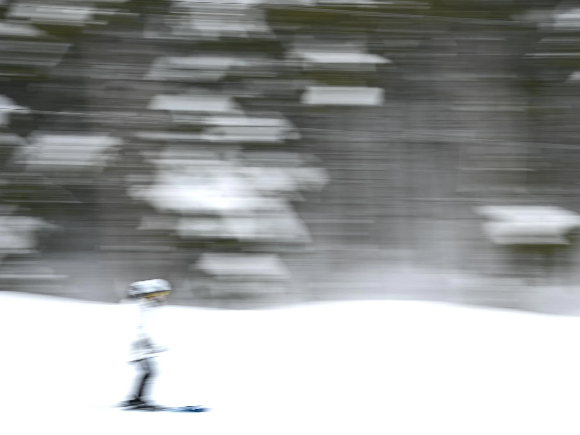 Le skieur